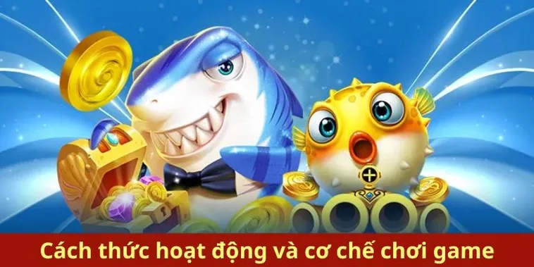 Hướng Dẫn Chinh Phục Bắn Cá Royal Fishing 8KBet Thắng Lớn Tuyệt Đối