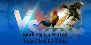 Hướng Dẫn Thắng Lớn Đá Gà WS168 Tại 8KBet Nhanh Chóng Hiệu Quả