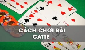 Bí Quyết Chơi Sắc Tê 8KBet Thắng Lớn Dành Cho Người Chơi Mới Nhất
