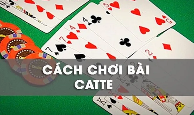 Bí Quyết Chơi Sắc Tê 8KBet Thắng Lớn Dành Cho Người Chơi Mới Nhất